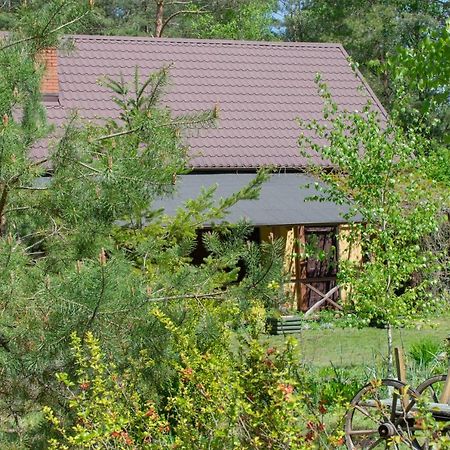 Gospodarstwo Agroturystyczne Nad Jeziorem Wsrod Lasow Lipnica  Exteriér fotografie