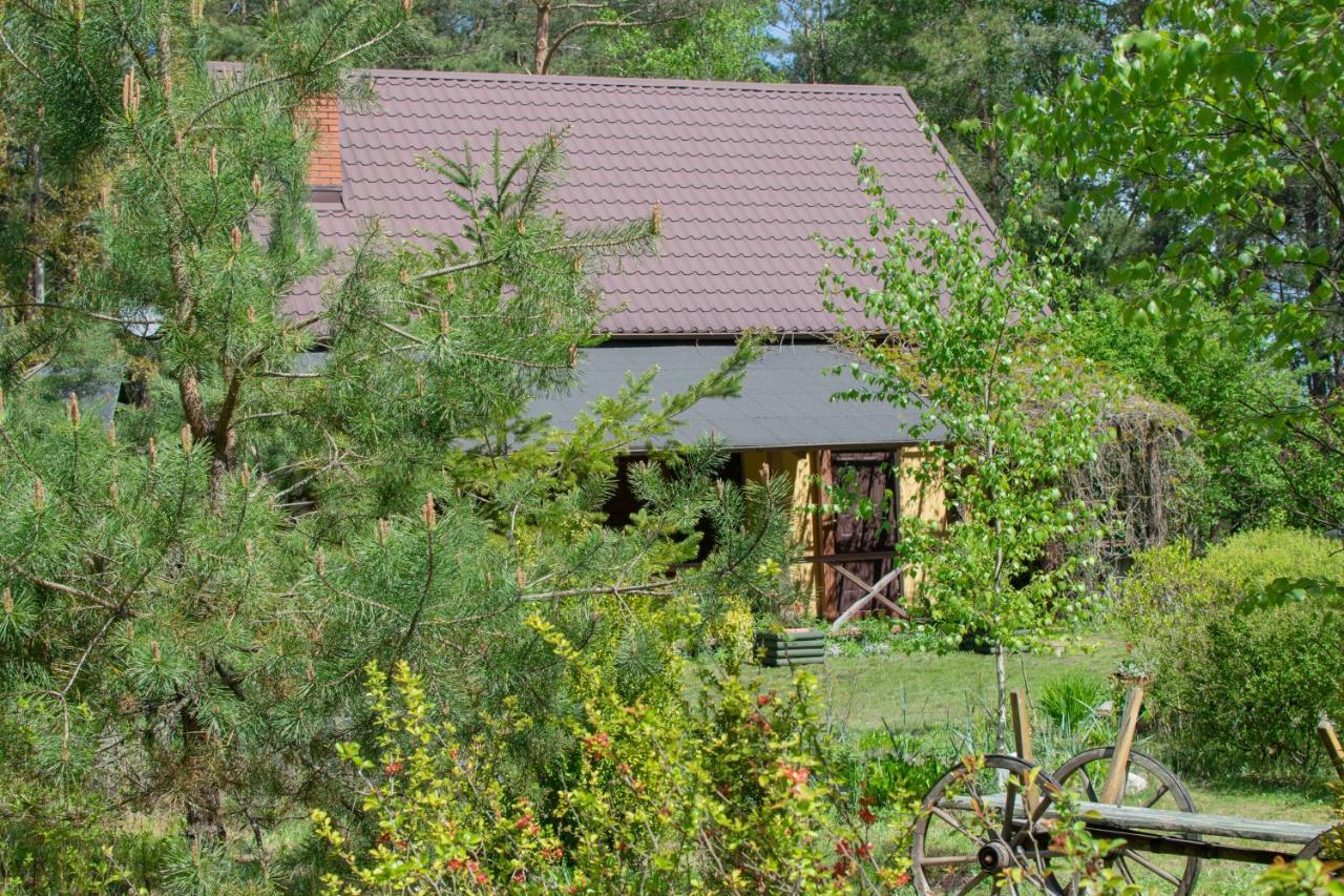 Gospodarstwo Agroturystyczne Nad Jeziorem Wsrod Lasow Lipnica  Exteriér fotografie