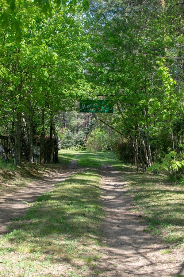 Gospodarstwo Agroturystyczne Nad Jeziorem Wsrod Lasow Lipnica  Exteriér fotografie