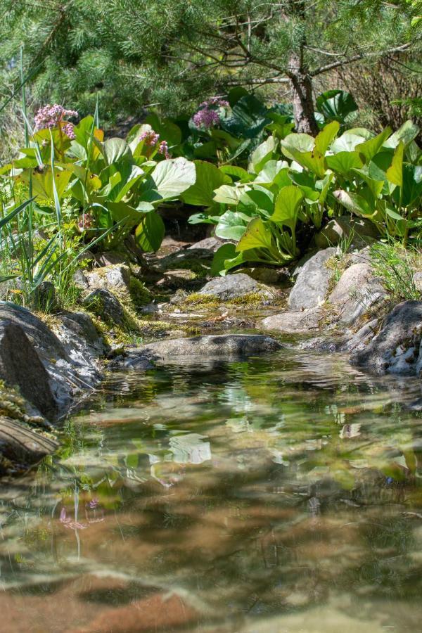 Gospodarstwo Agroturystyczne Nad Jeziorem Wsrod Lasow Lipnica  Exteriér fotografie